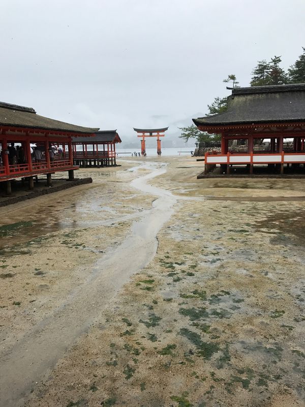日本「雨など降らぬ」の写真