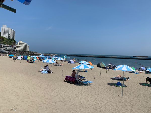 日本・熱海「みかんの木」の写真