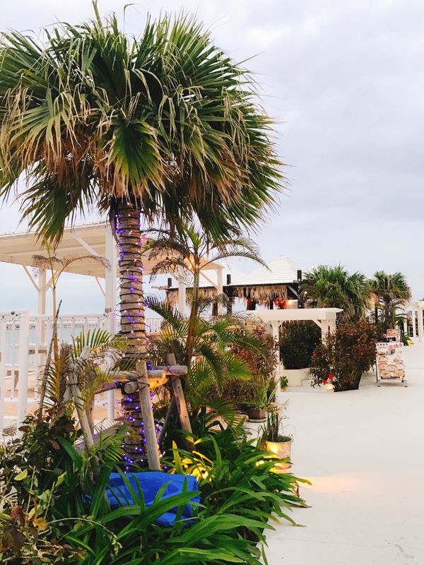 日本・那覇「1泊2日@沖縄」の写真