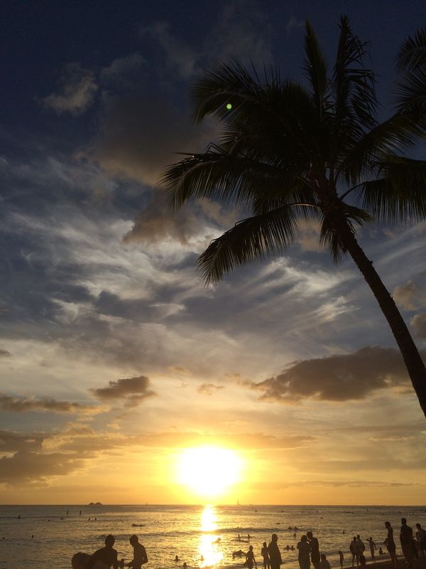 アメリカ(米国)・ホノルル「ハワイ旅行」の写真