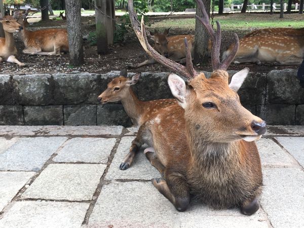 日本・京都府「京都 4th」の写真
