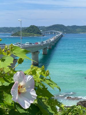 山口県は酒どころ。お酒はとっても美味しかったです✨