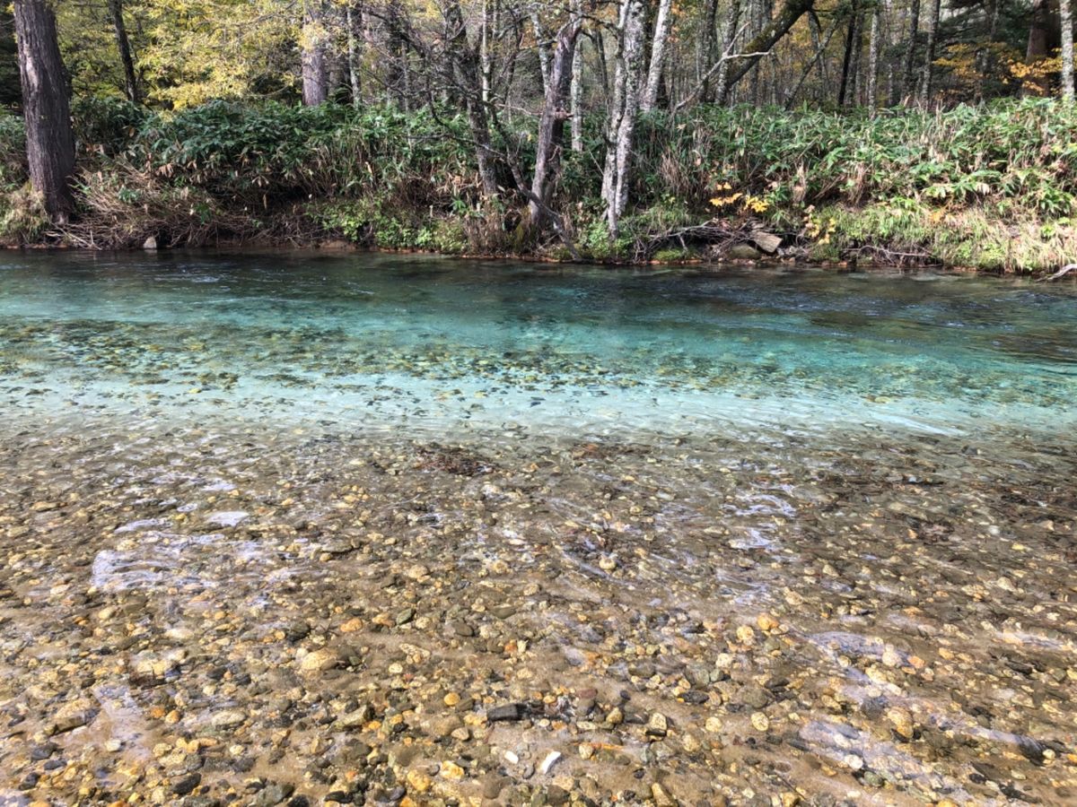 梓川の透き通る水、ウェストン碑、色付き始めた紅葉、河童橋から見る穂高