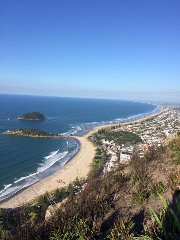 ニュージーランド・オークランド「毎日トレッキング」の写真