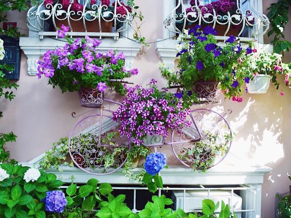 「Turkey 🇹🇷 ひとりたび」の写真：pink 💘