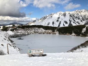 この旅の目的の一つ、雷鳥さんに会えました🐤
かわいいいーーーーー！
そして...