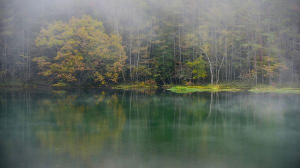 日本「長野県南部～紅葉の旅～」の写真：ずっと行きたかった御射鹿池。
運良く霧が...