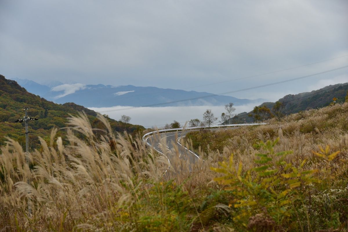 ずっと行きたかった御射鹿池。
運良く霧が立ち込めて幻想的な景色に出会えました。
