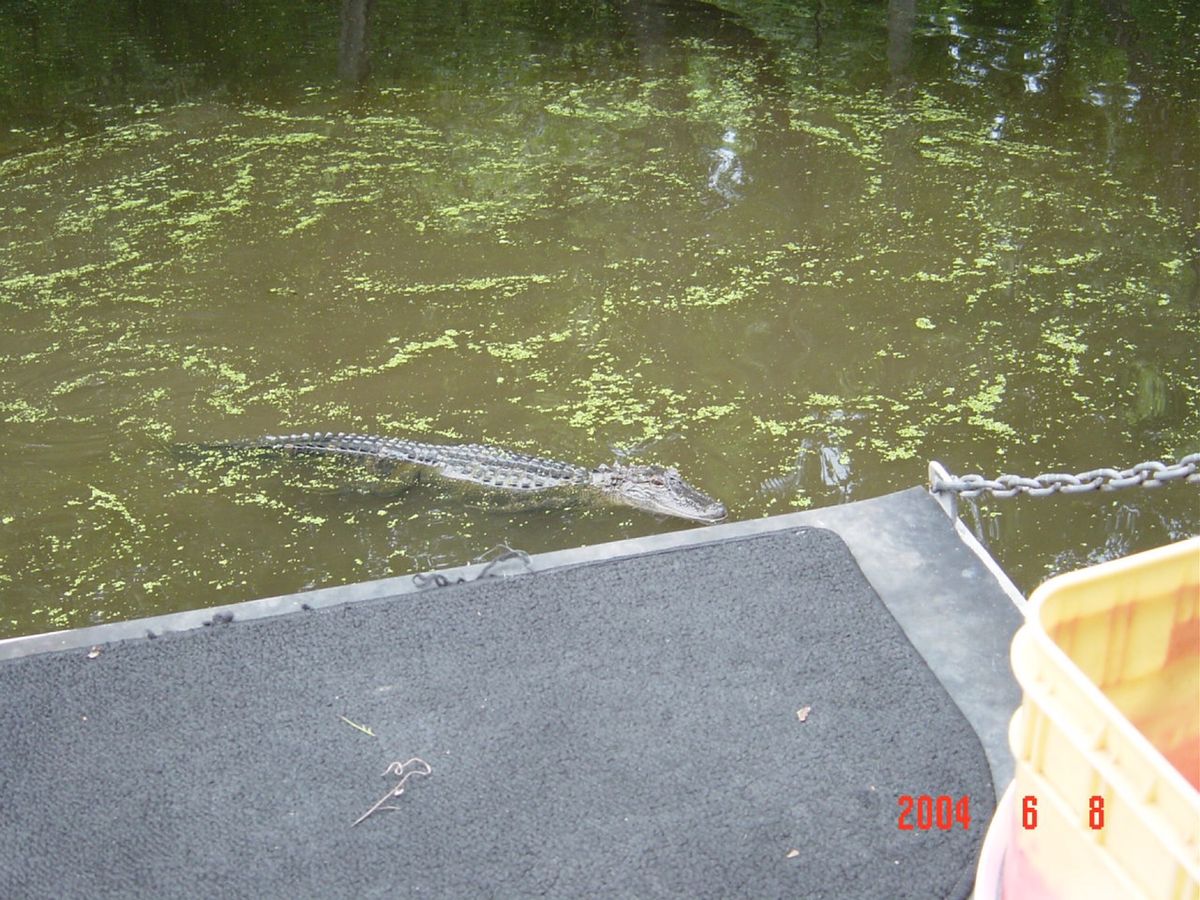 仕事の合間にPlantation tourに参加してきました。学校で習いま...
