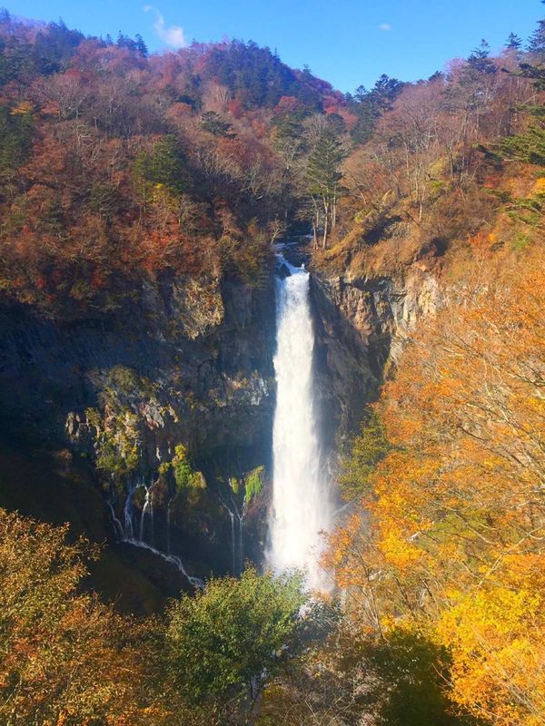 日本「日光🍁紅葉狩り」の写真