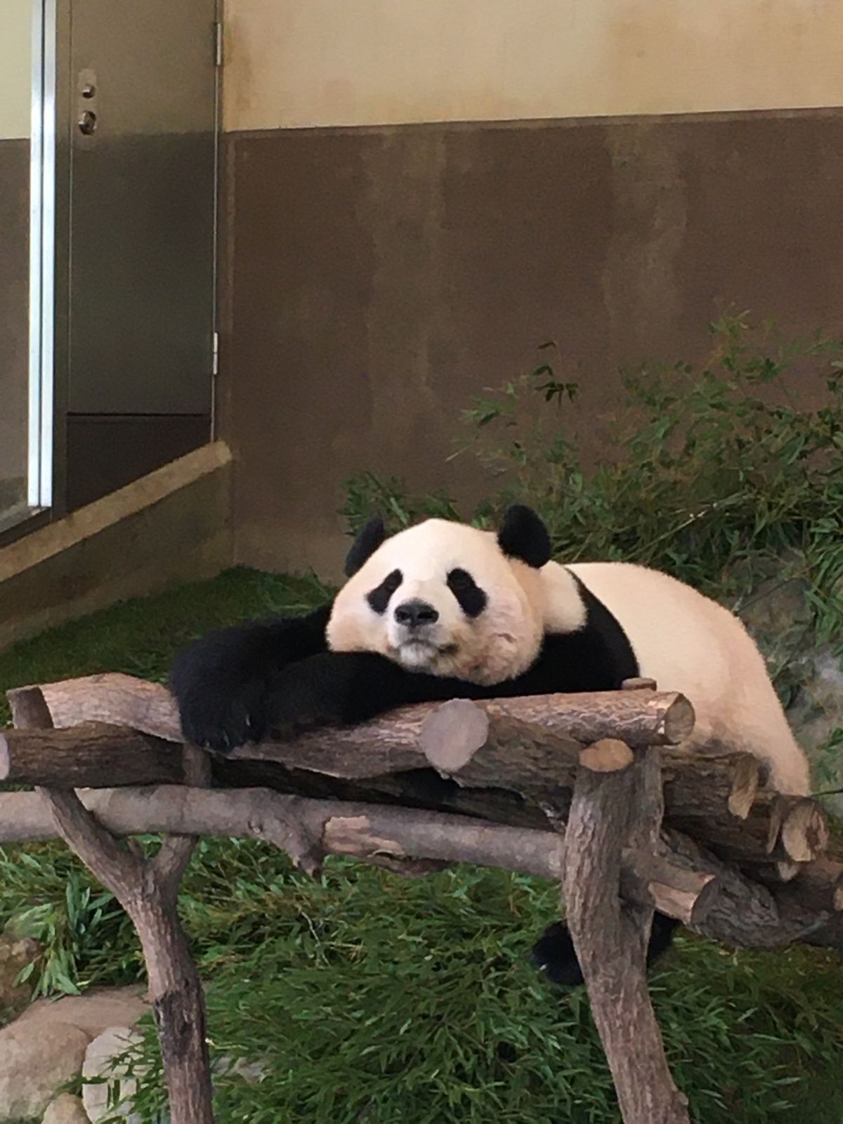 アドベンチャーワールド