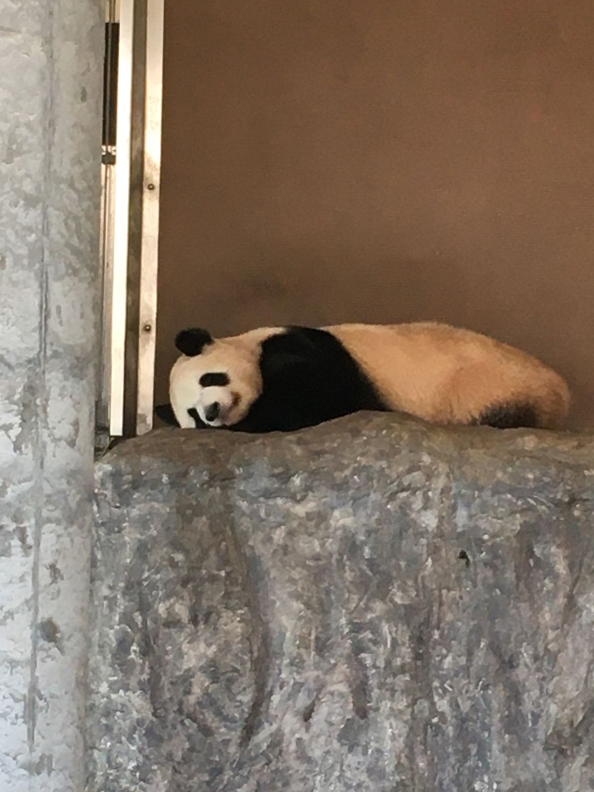 アドベンチャーワールド