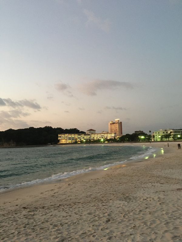 日本・和歌山「和歌山パンダ旅行」の写真：白良浜