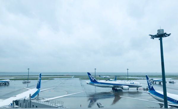 日本・倉敷「岡山」の写真：久しぶりの飛行機は大好きなANA。
旅行...