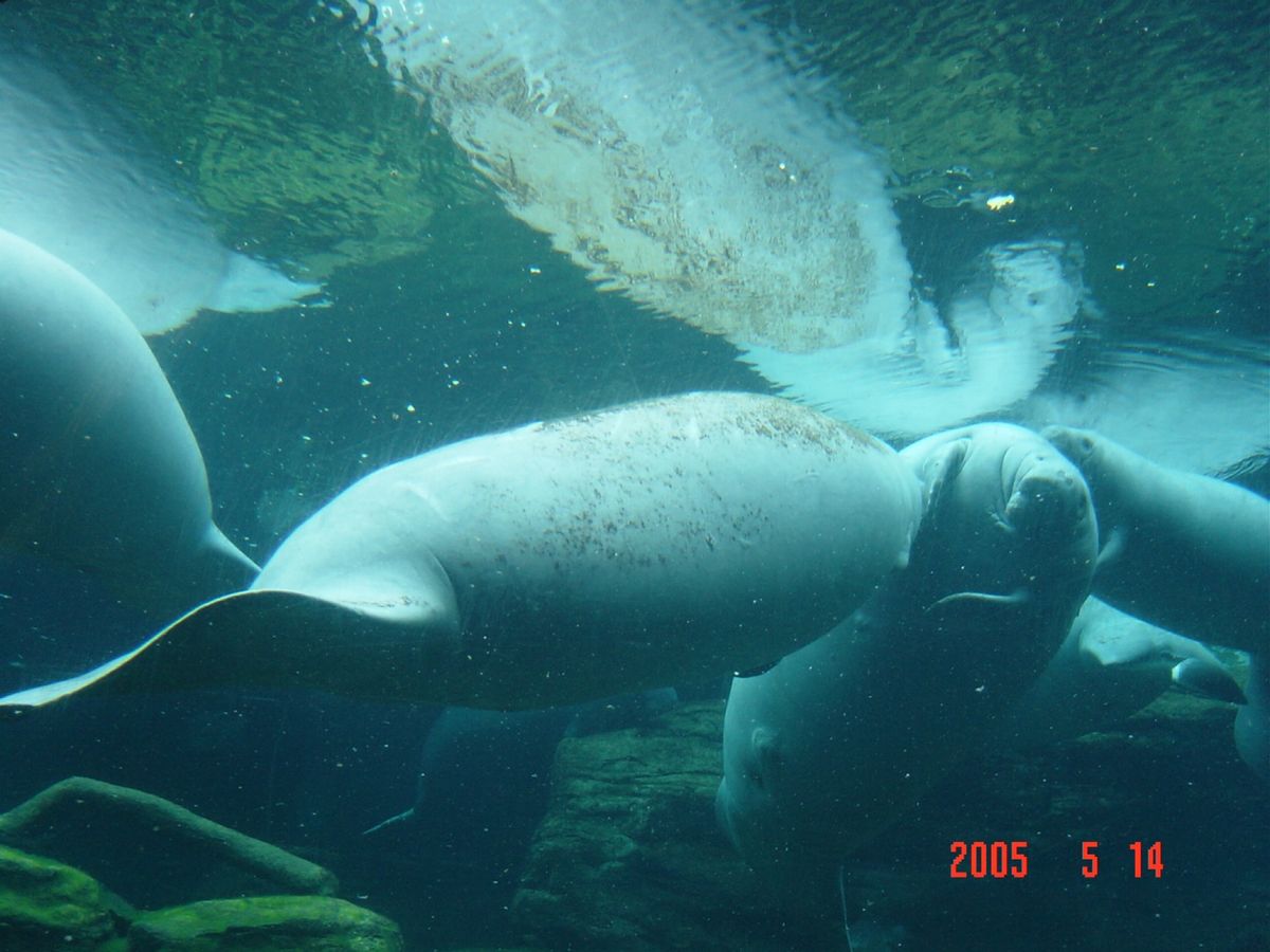 男2人でSeaWorld😅ある意味、ウケる🤣