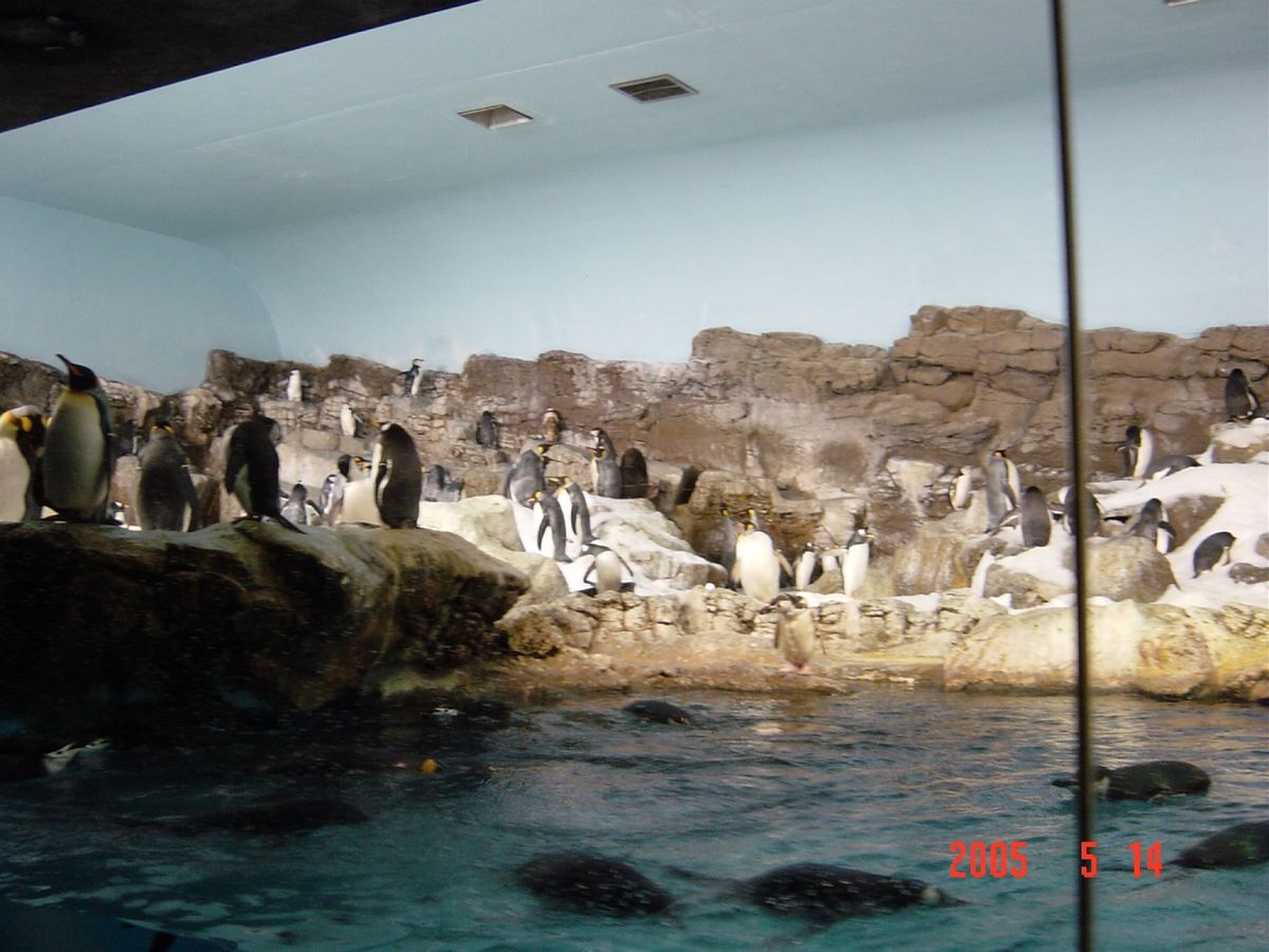 男2人でSeaWorld😅ある意味、ウケる🤣
