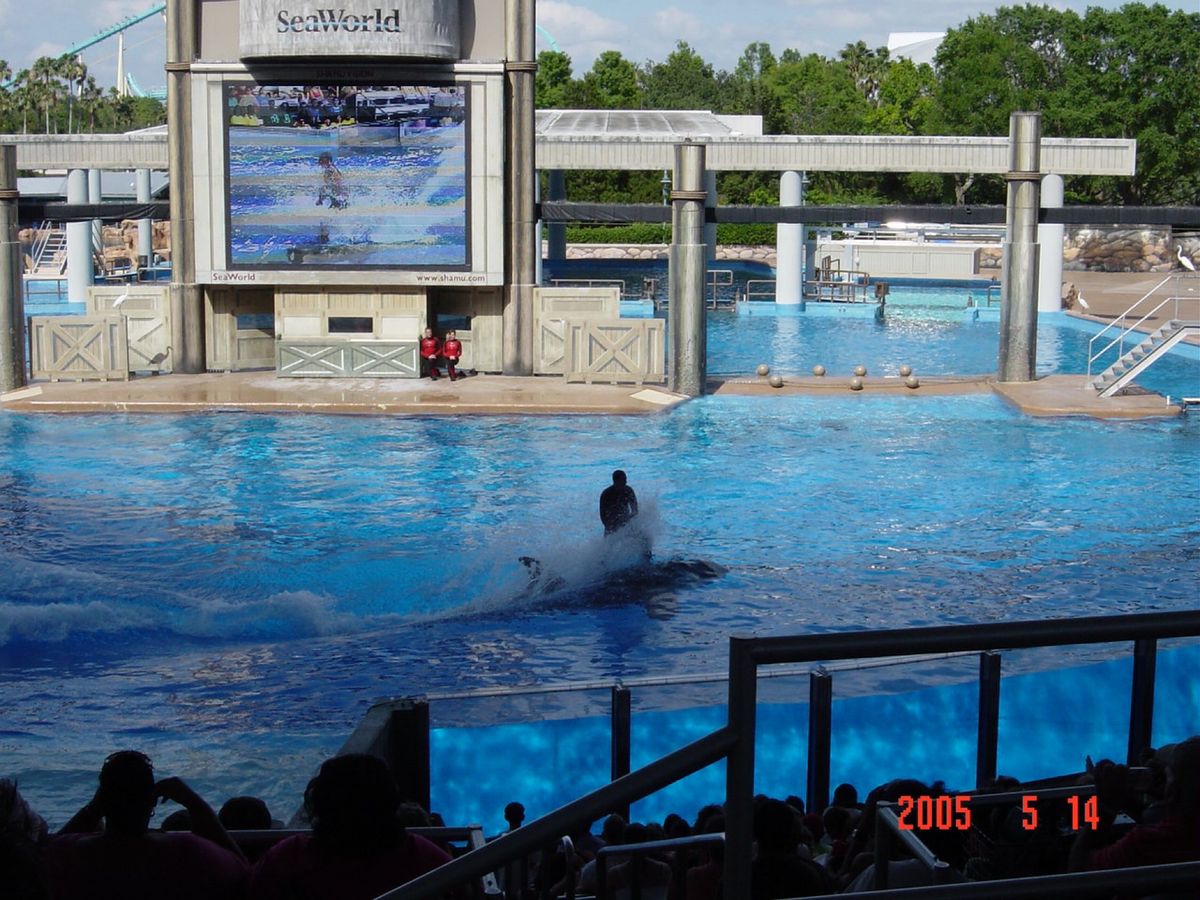 男2人でSeaWorld😅ある意味、ウケる🤣