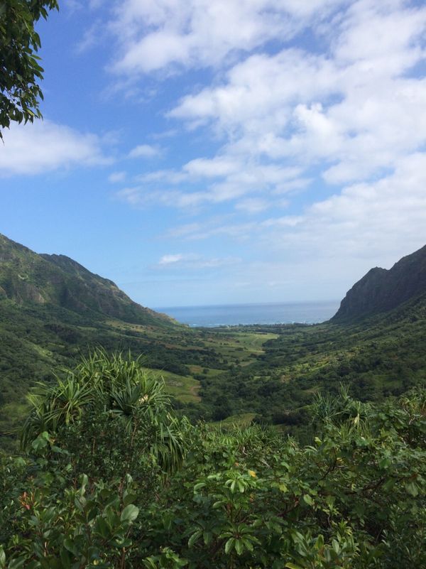 アメリカ(米国)・ハワイ「ハワイ　卒業旅行」の写真