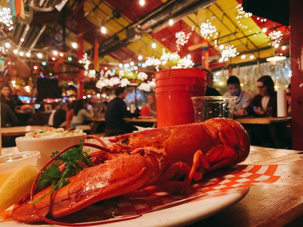 アメリカ(米国)・ニューヨーク「ボストン・ニューヨーク　１週間」の写真