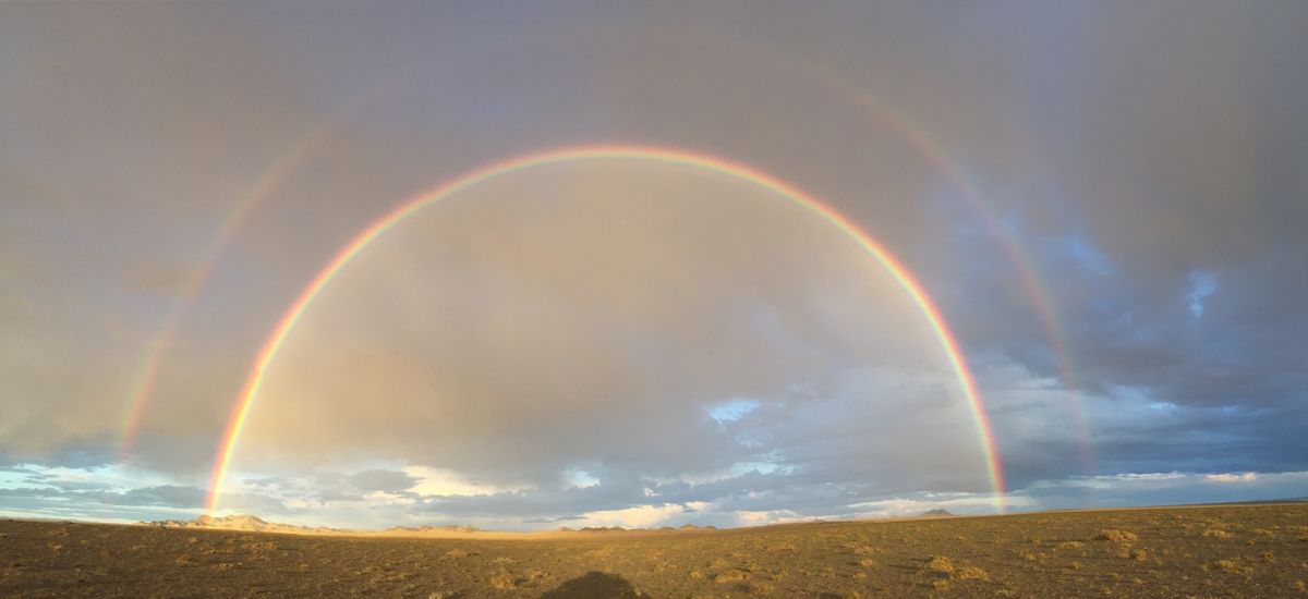 2016.5月、8月
2018.8月
大好きなモンゴル
まだまだ行きたい！