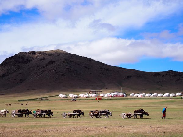 モンゴル国・フブスグル湖、ウンドゥルシレット、ホブド〜オラーンゴム「モンゴル」の写真：2016.5月、8月
2018.8月
大...