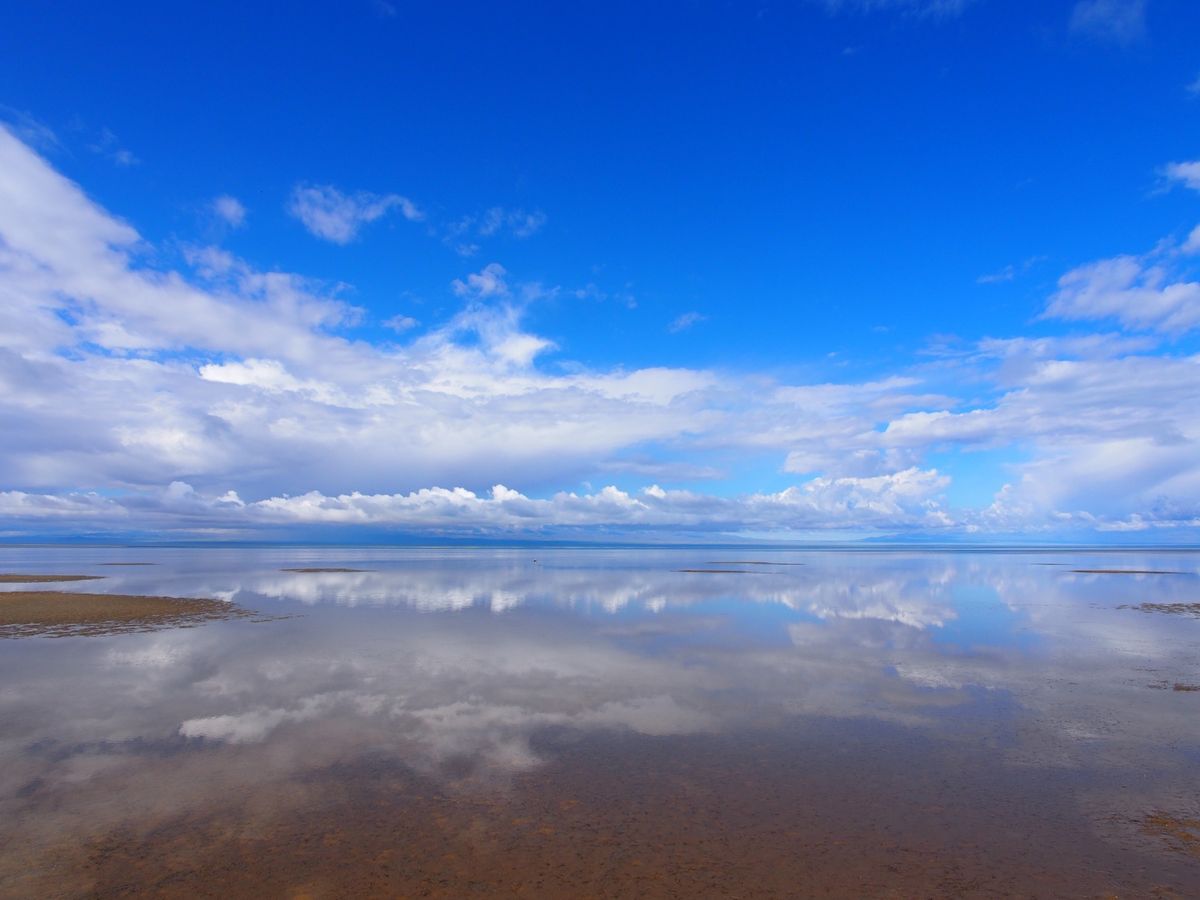 2016.5月、8月
2018.8月
大好きなモンゴル
まだまだ行きたい！