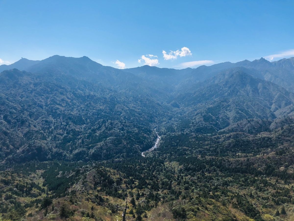 白谷雲水峡
太鼓岩

今回の２つ目の目的地！
時間は往復6時間でしたが、
...