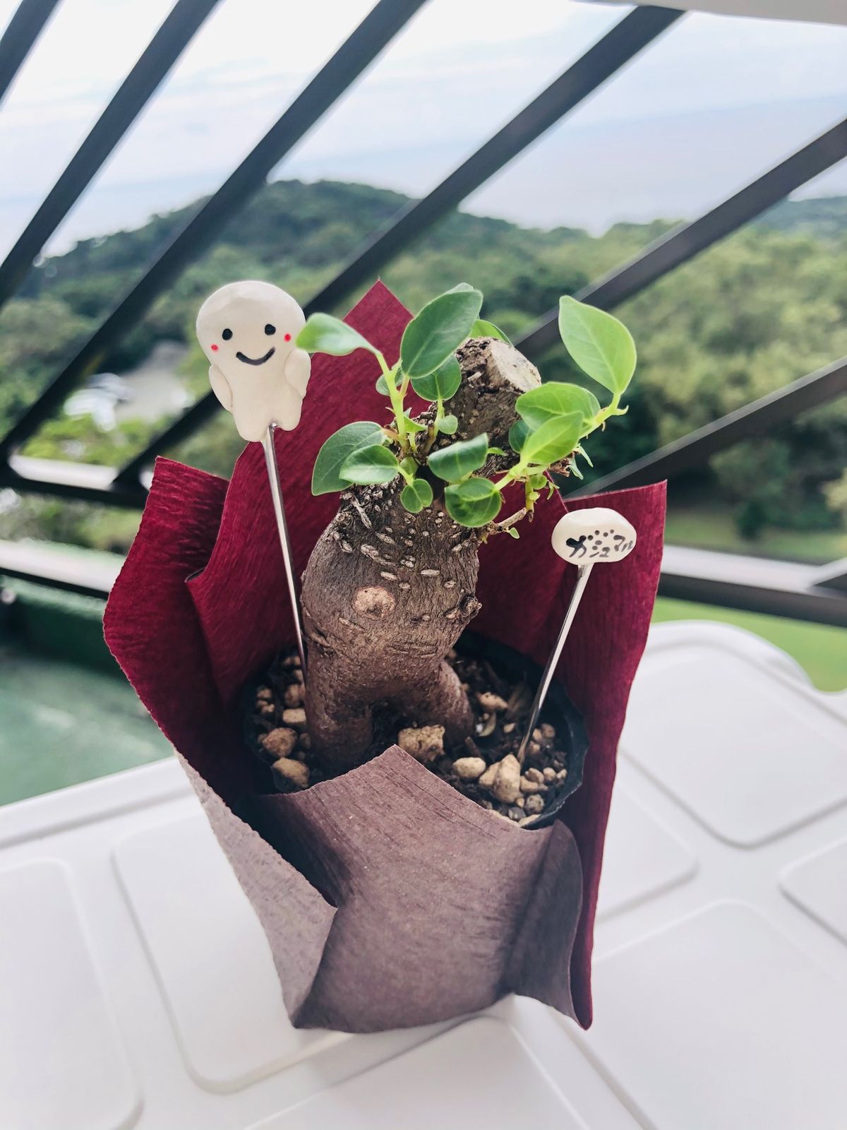 最終日、はじめてのホテルでの朝食⭐️
連日、朝・昼とお弁当にかえていただい...