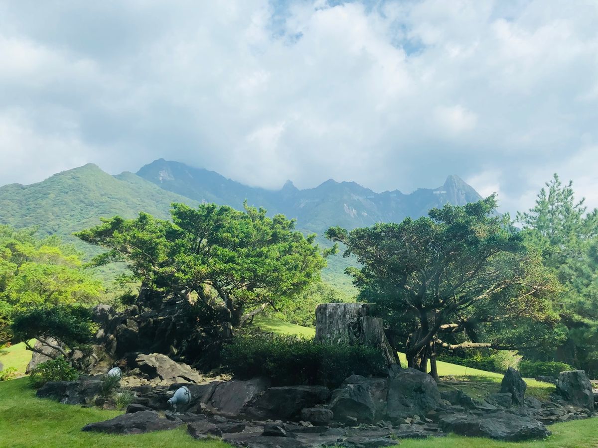 最終日、はじめてのホテルでの朝食⭐️
連日、朝・昼とお弁当にかえていただい...