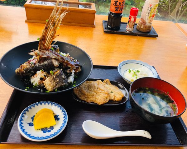 日本・鹿児島「屋久島」の写真：屋久島空港の食堂⭐️飛魚丼
4日間あっと...
