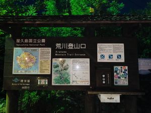 ウィルソン株
縄文杉

朝4時にホテルを出発し、ガイドさんと合流。
朝5時...