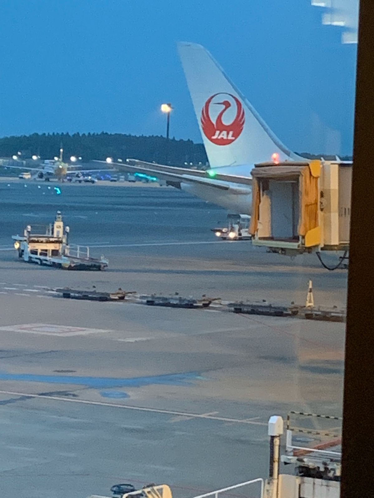 着いた日に必ず食べるアサイーボール、毎週金曜日に打ちあげられる花火、大好き...