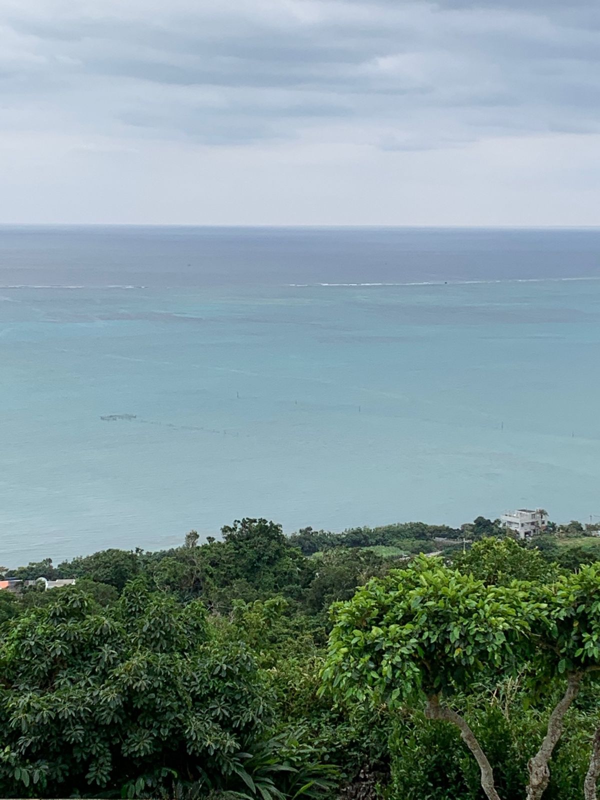 沖縄に移動して、ずーっと行きたかったカフェくるくまへ。何年越し⁉️🤣🤣
そ...