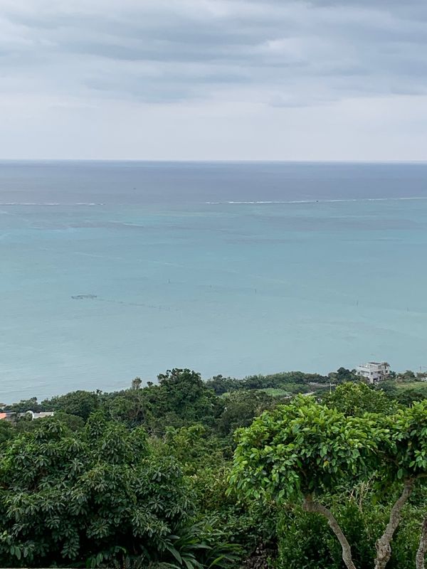 日本・石垣島「石垣・沖縄女子旅🌺」の写真：沖縄に移動して、ずーっと行きたかったカフ...