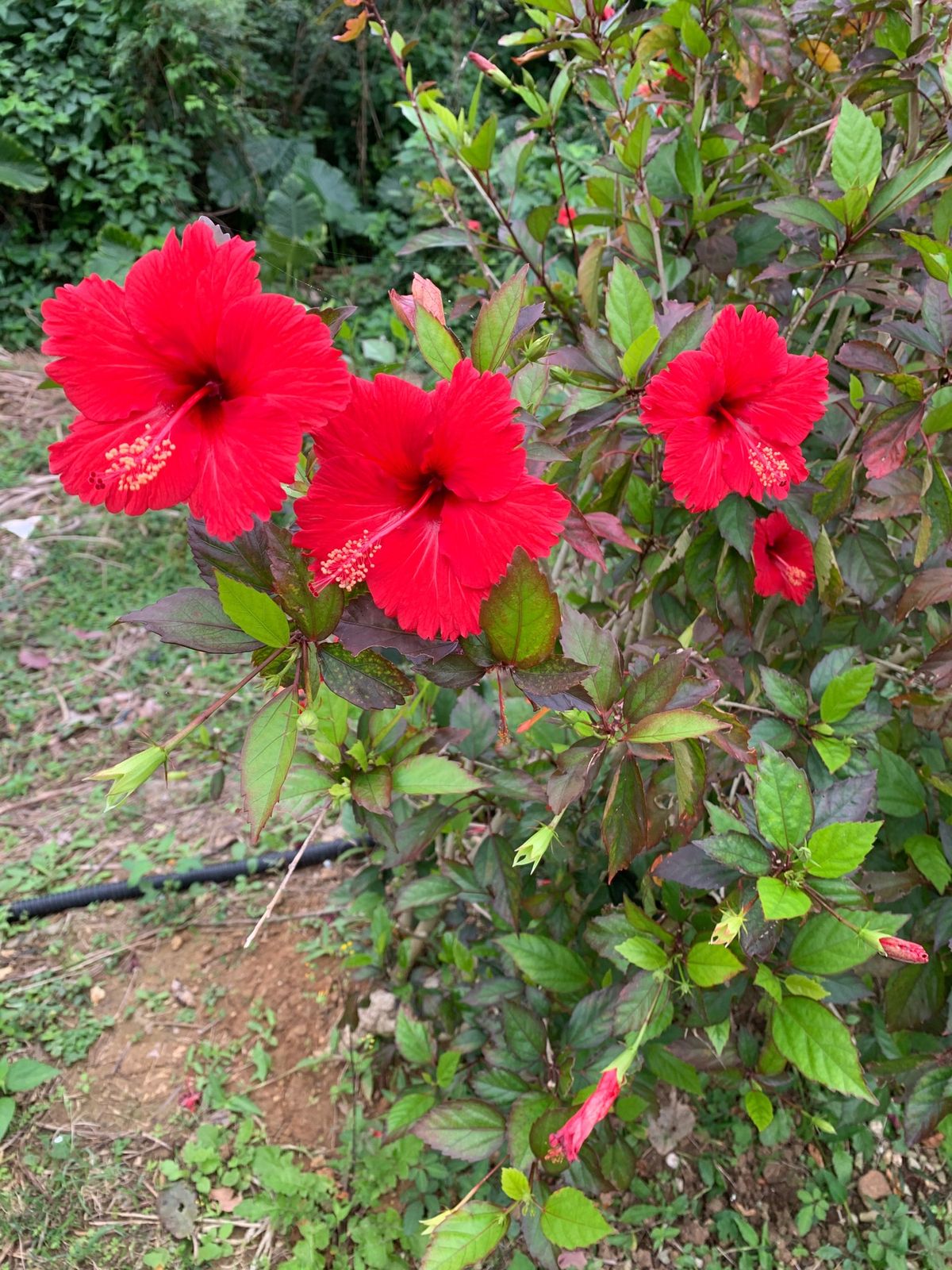 空港、キレイになってました。
鍾乳洞は神秘的❤︎