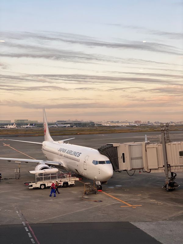 日本・愛媛県「淡路島　沼島とお魚の旅」の写真：まずは徳島空港へ！
その後淡路島に渡り、...