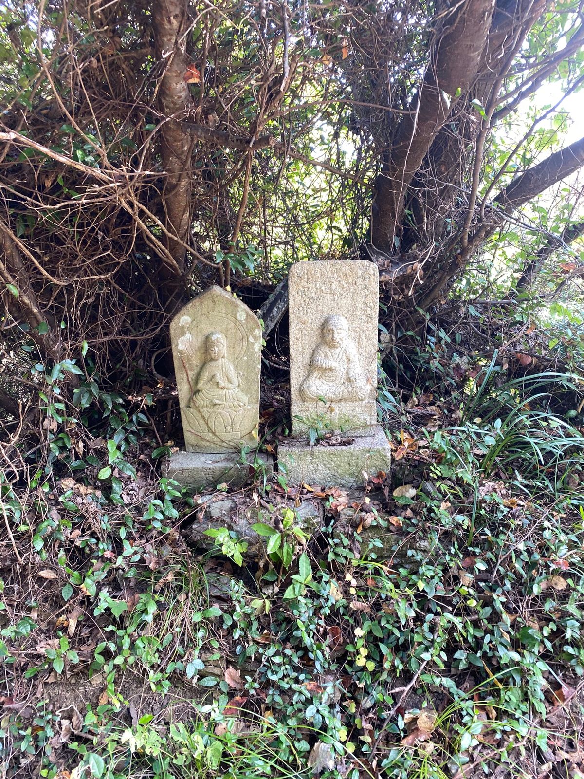 上立神岩から沼島の右半分を山歩き
最後におのころ神社
日本が生まれた地

...