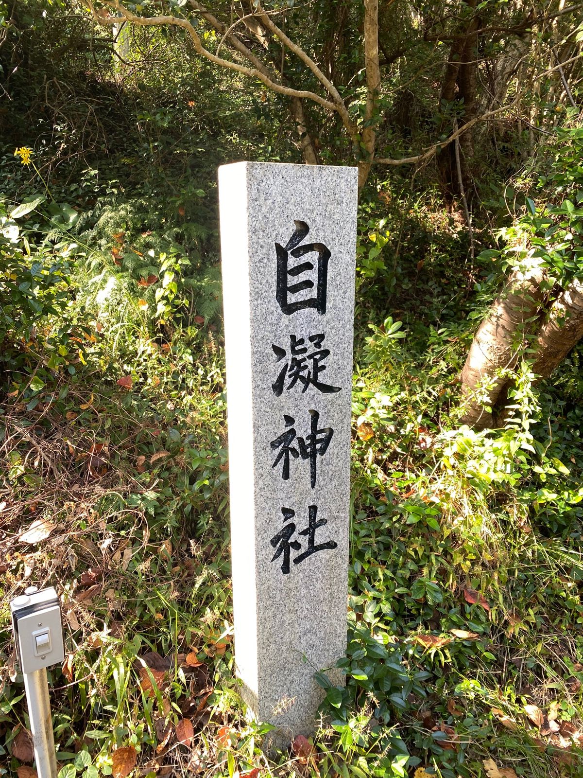上立神岩から沼島の右半分を山歩き
最後におのころ神社
日本が生まれた地

...