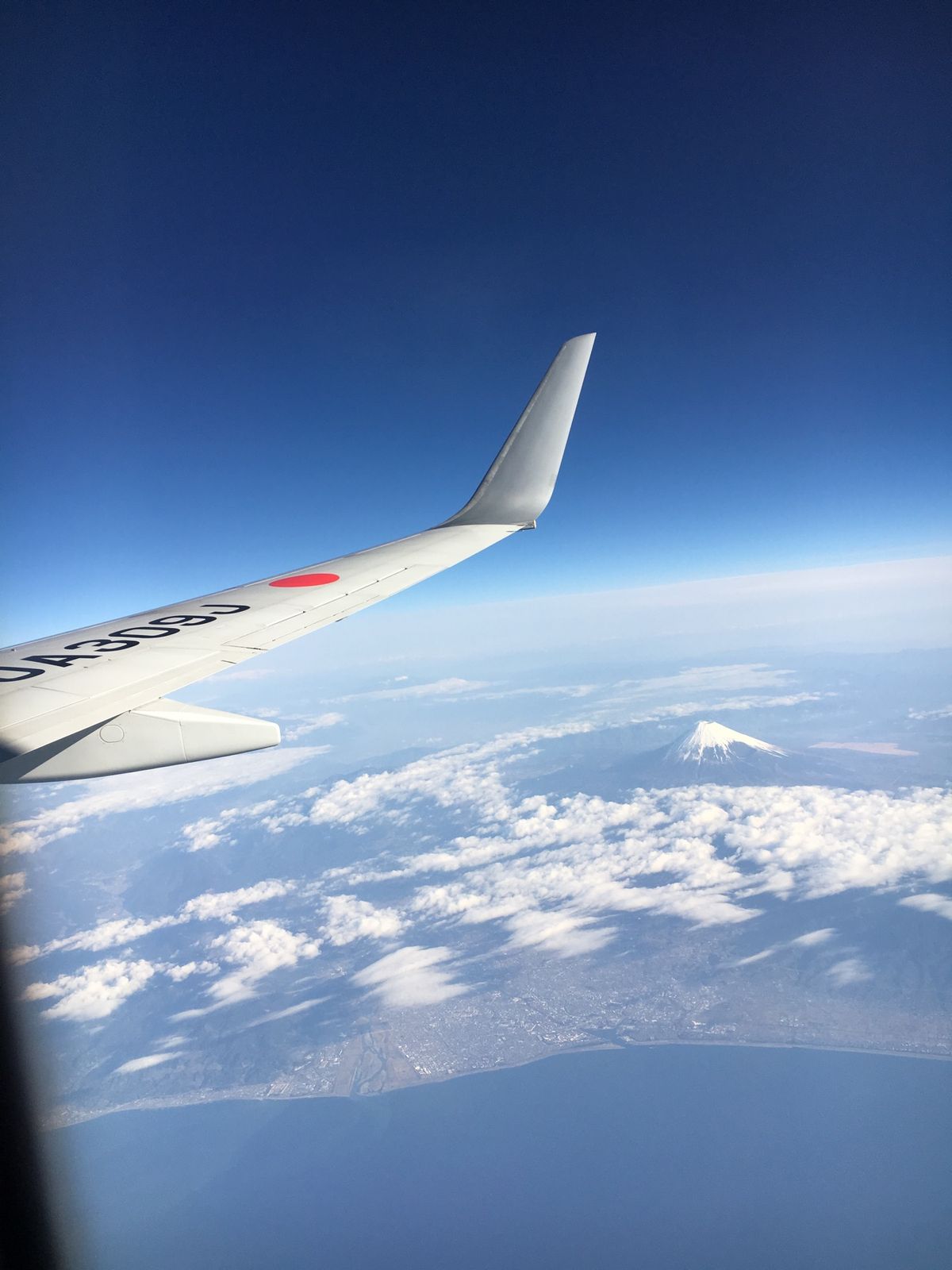 朝市のさつまいもの天ぷらと、鰹のたたきは最高🍻
