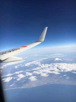 朝市のさつまいもの天ぷらと、鰹のたたきは最高🍻
