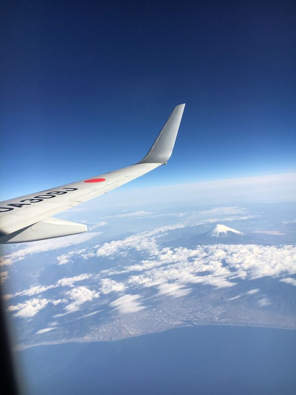 日本・高知「高知🥎」の写真：朝市のさつまいもの天ぷらと、鰹のたたきは...