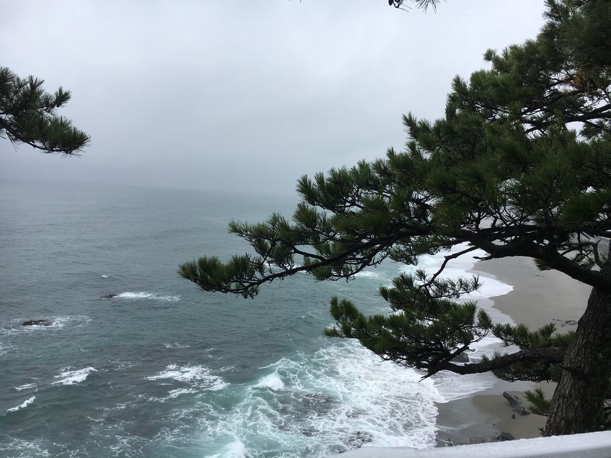 朝市のさつまいもの天ぷらと、鰹のたたきは最高🍻
