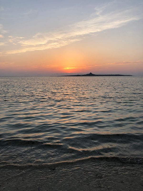 日本・沖縄「おやみと沖縄🌺🌊」の写真