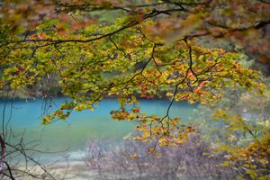 福島の紅葉が見頃を迎えたので、初めての福島旅行へ！
想像していなかった絶景...