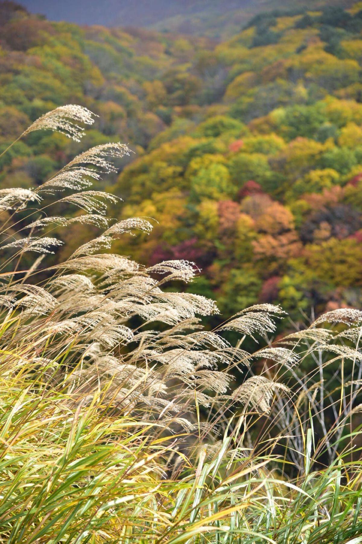霧が出たり、雨が降ったり、太陽がさしたりと今回の旅は1日にお天気がコロコロ...