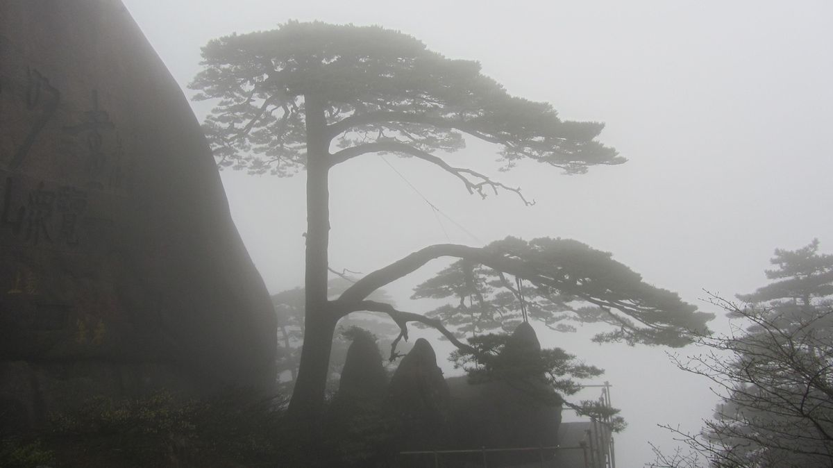 4月の雨季行けば、このような幻想的な景色が見られる。
目の前に急に山が現れ...