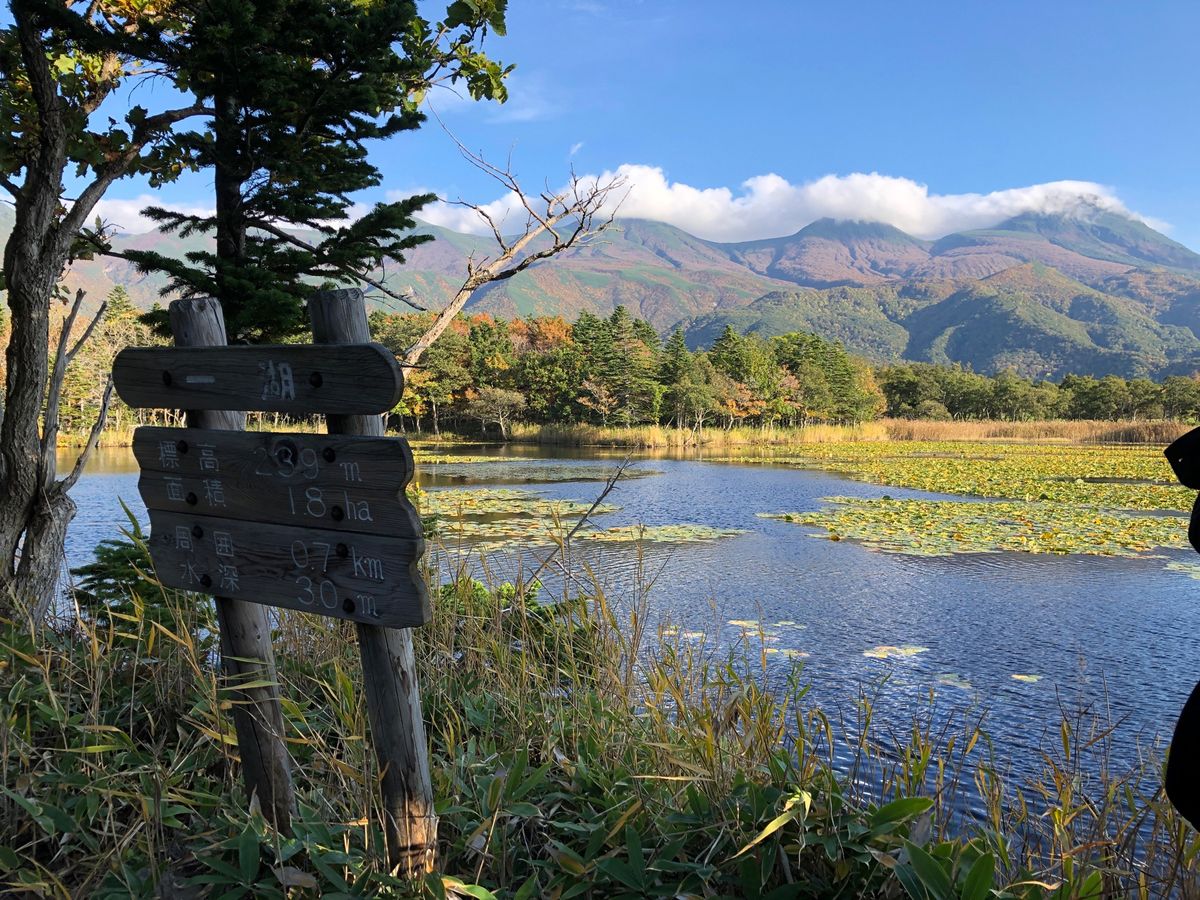 知床五湖を散歩。最近クマの目撃が多く、熊に怯えながら周遊。とても綺麗でした。