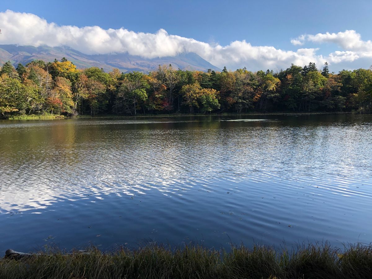 知床五湖を散歩。最近クマの目撃が多く、熊に怯えながら周遊。とても綺麗でした。
