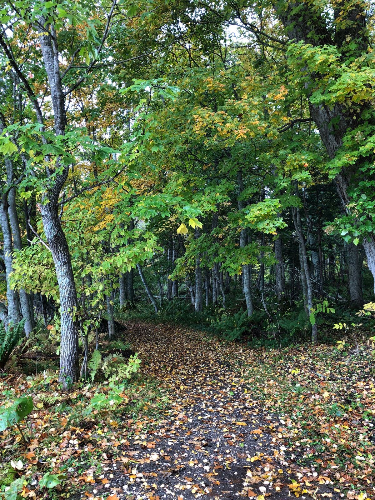 阿寒湖と周辺の散歩