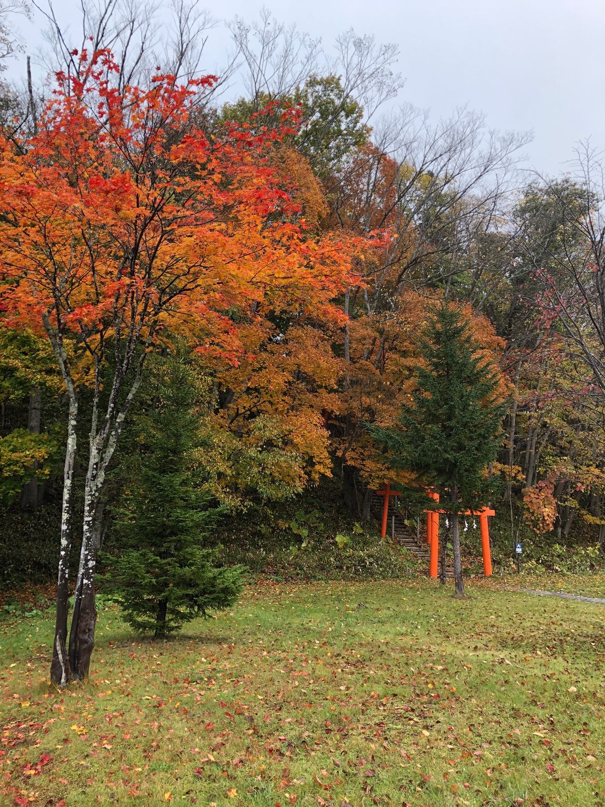 阿寒湖と周辺の散歩